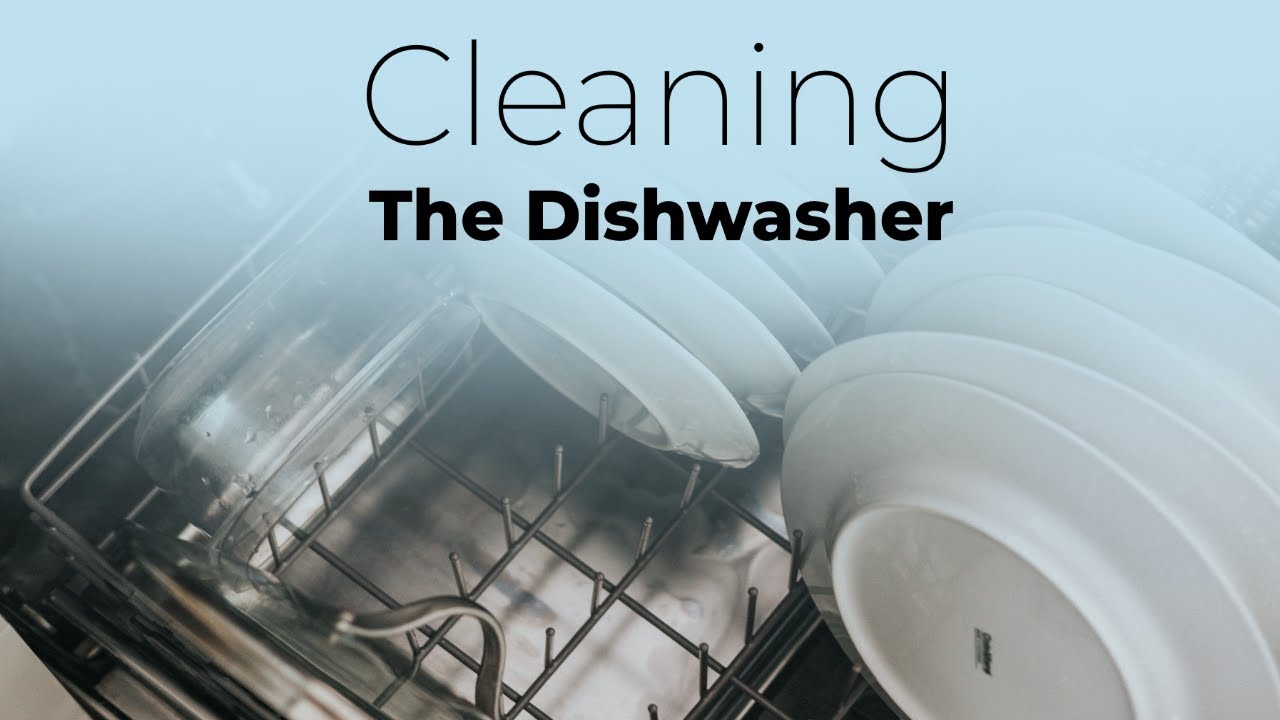 Cleaning The Dishwasher!