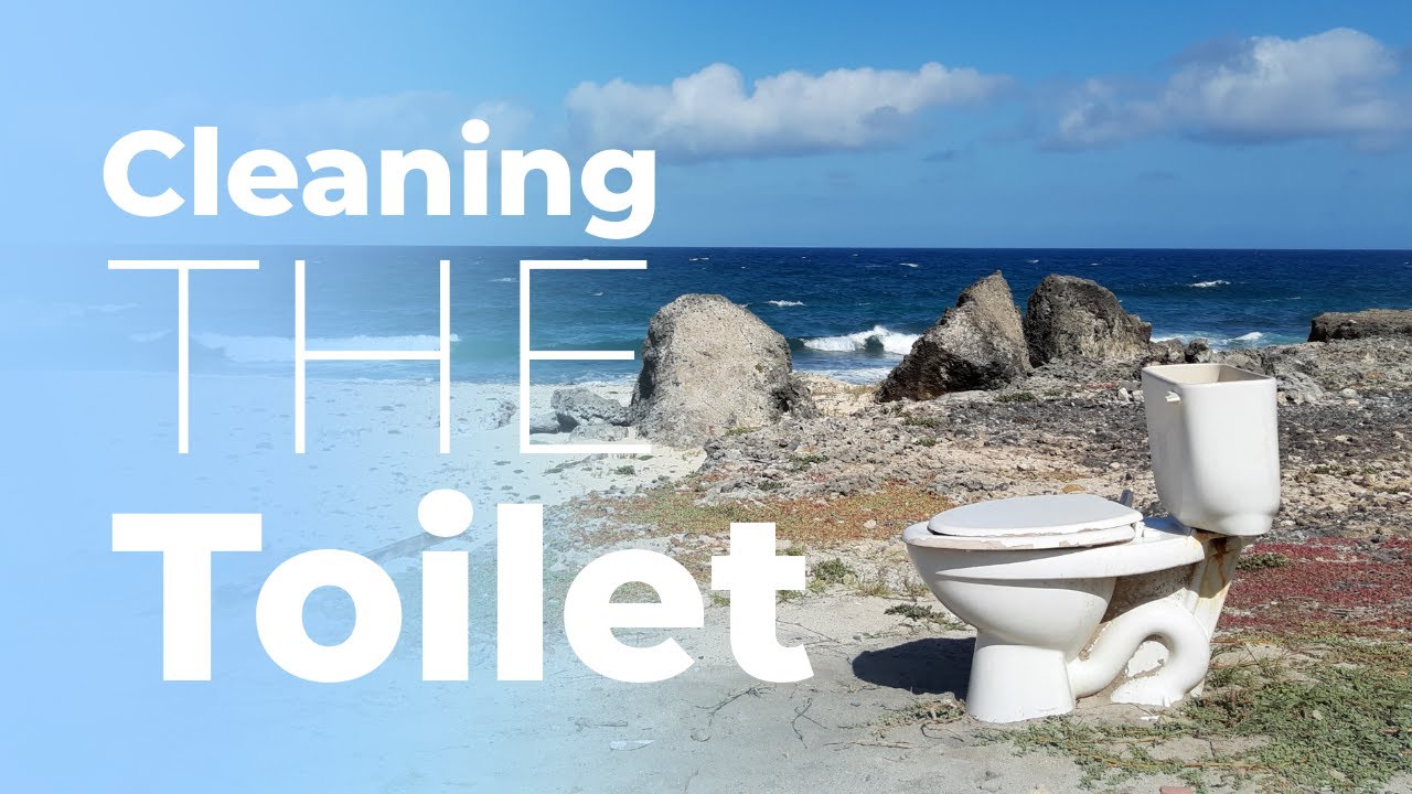 Cleaning The Toilet!